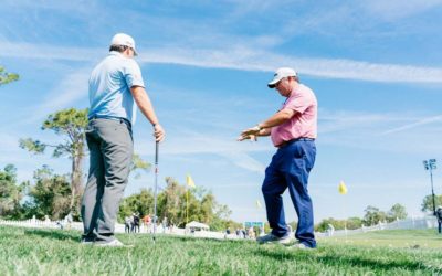 What’s Happening at Dewsweepers